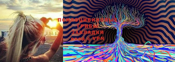 герыч Арсеньев