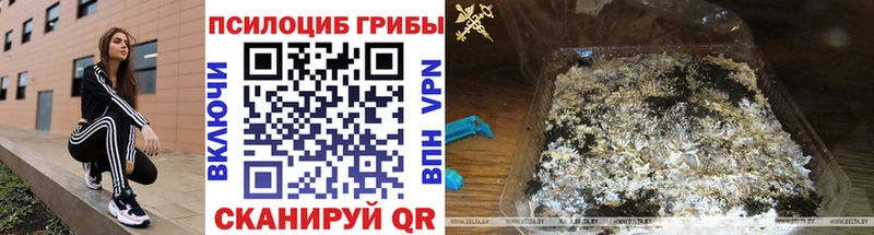 Псилоцибиновые грибы мухоморы  Николаевск 